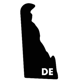Diecut_State_Letters_Delaware [ DE ]_Vinyl_Sticker