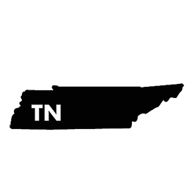 Diecut_State_Letters_Tennessee [ TN ]_Vinyl_Sticker